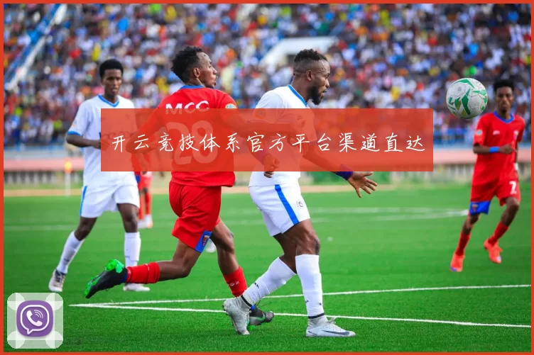 开云竞技体系官方平台渠道直达