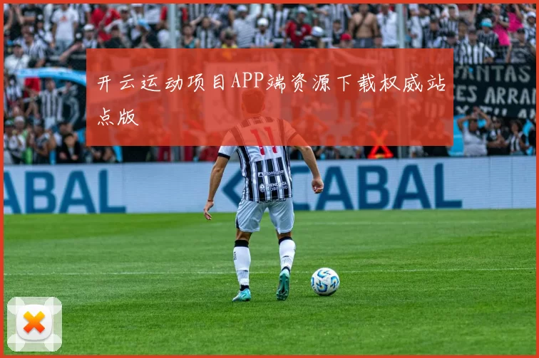 开云运动项目APP端资源下载权威站点版