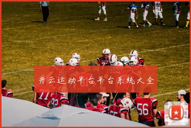 开云运动平台平台系统大全