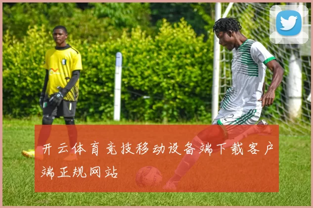 开云体育竞技移动设备端下载客户端正规网站