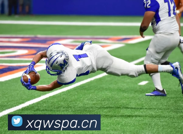 开云官网APP 封面图